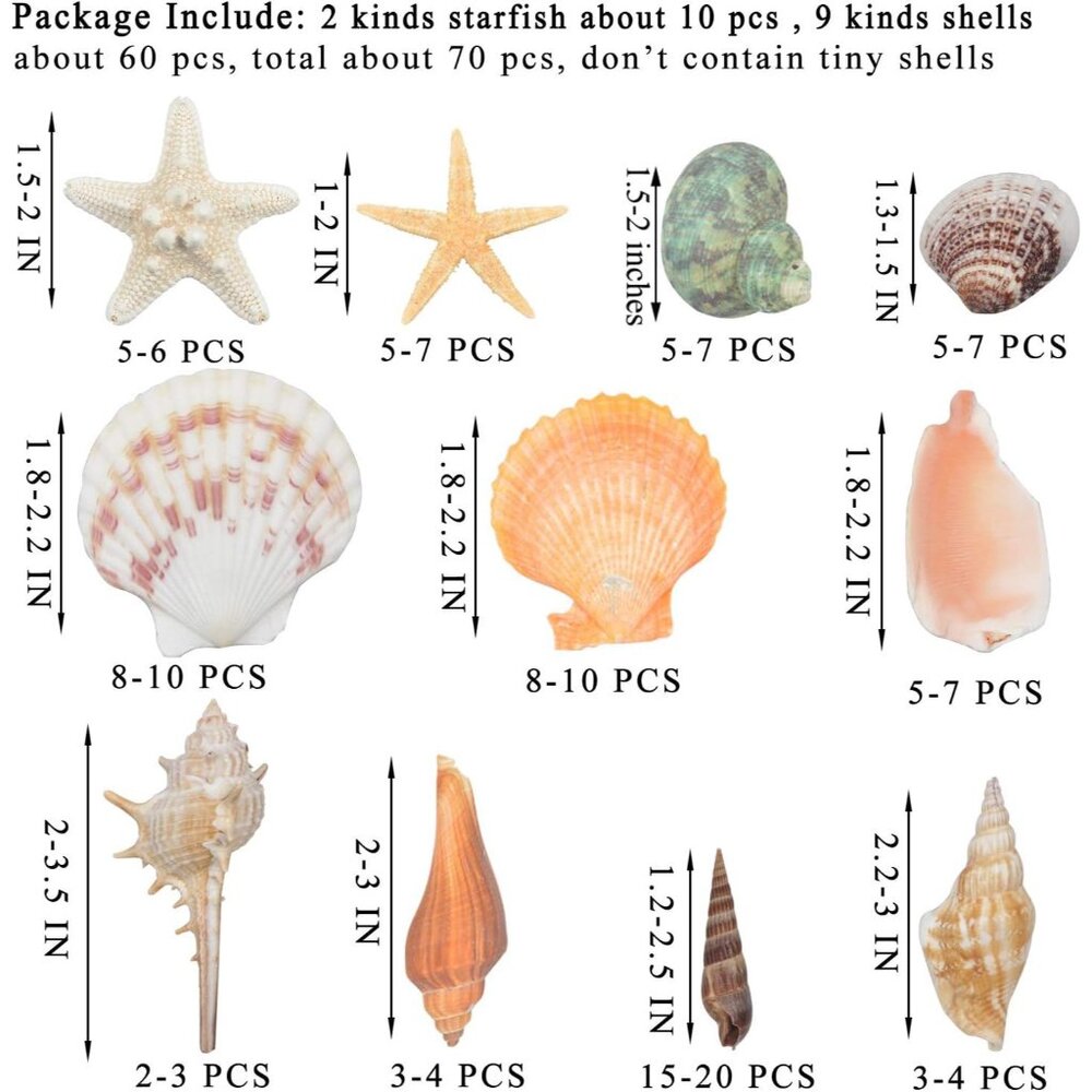 New Sea Shells Mixed Beach Seashells & Starfish for DIY Crafts, Party Decor - Picture 2 of 13
